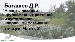 Денис Баташев. “Нюансы посадки крупномерных растений и кустарников ковровыми массивами“ часть 2
