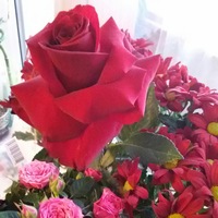 Гульнара Галиуллина