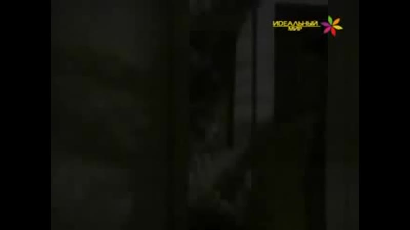 Саванна,