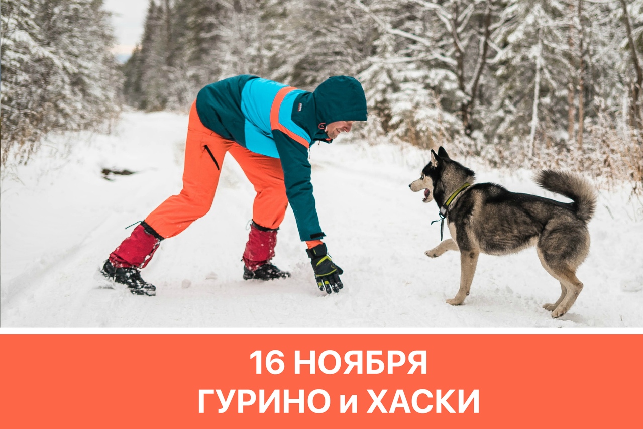 Афиша Тюмень Гурино, хаски, шашлыки / 16 ноября / Днёвка