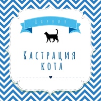 Кастрация кота