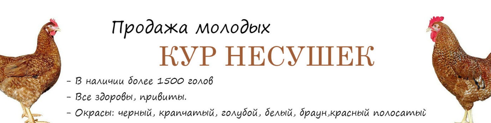 Мой Интернет Магазин Https Vk Com Club174696010