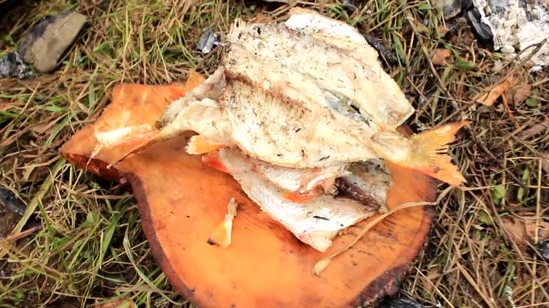 Дикая кухня - ЖАРЕНАЯ РЫБА НА КАМНЯХ