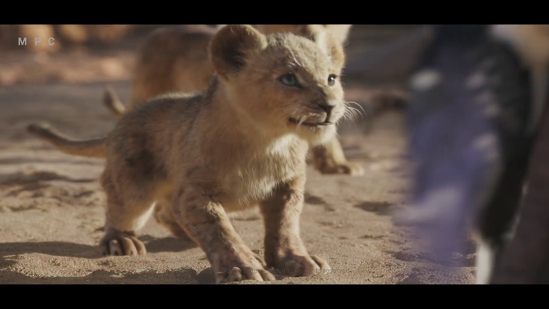 MPC Film The Naturalistic effects of The Lion