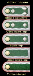 Униформа второй мировой книга. Унтер что значит. Погоны штабс фельдфебеля. Унтер что значит. Самая лучшая форма второй мировой.