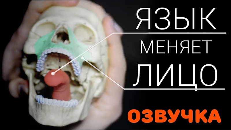 Привлекательное лицо, или нет Это зависит от положения