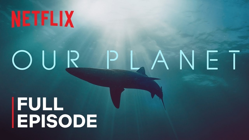 Our Planet, Coastal Seas, FULL EPISODE,