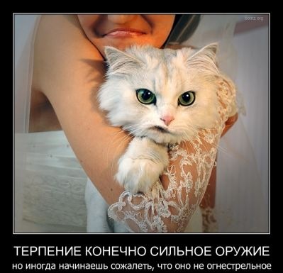 №20, Оля Василёнок, Витебск №20, Оля Василёнок, Витебск