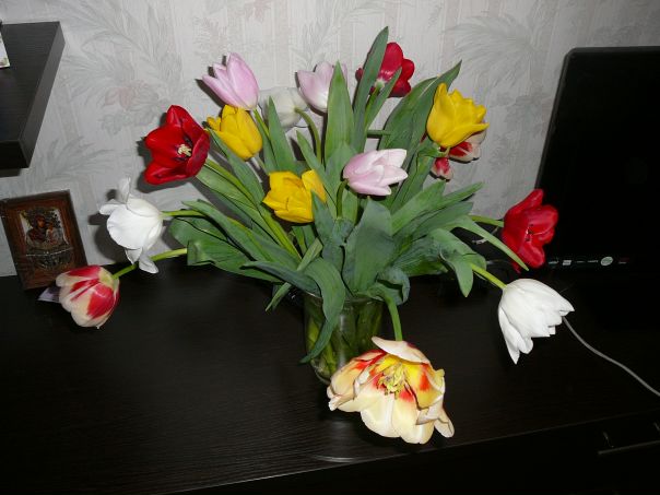 №12, Анна Карпінець, 43 года, Киев №12, Анна Карпінець, 43 года, Киев