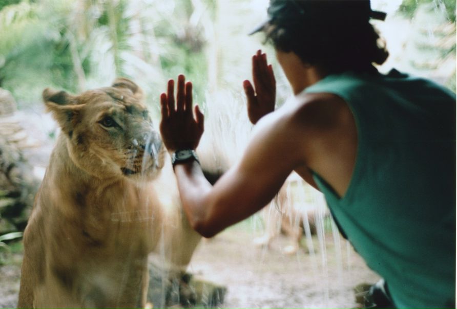 №1, Зебра Марсианская, 39 лет, Москва №1, Зебра Марсианская, 39 лет, Москва