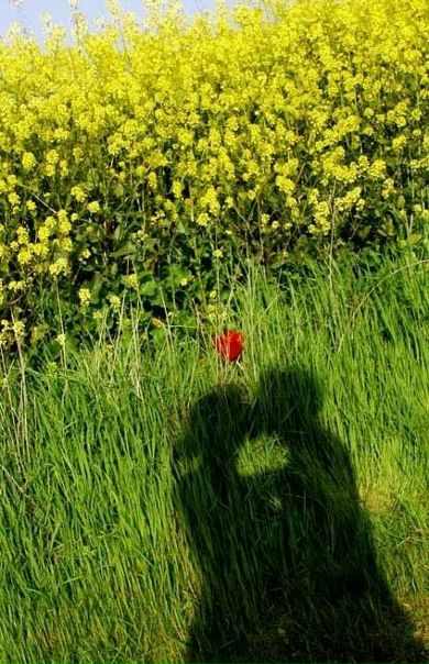 №23, Настя Редина, Москва №23, Настя Редина, Москва