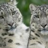 Аватар: Анастасия Завальнюк