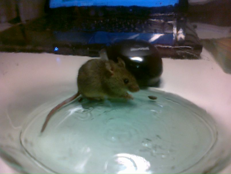 №59, Константин Бушков, Екатеринбург, Россия №59, Константин Бушков, Екатеринбург, Россия