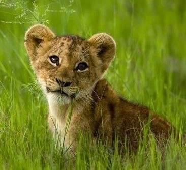 Milka Orlova | Магнитогорск