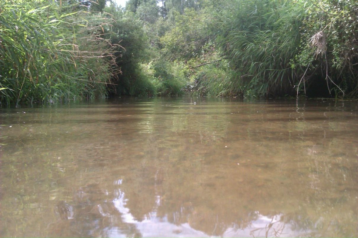 Артем Затеев | Белгород