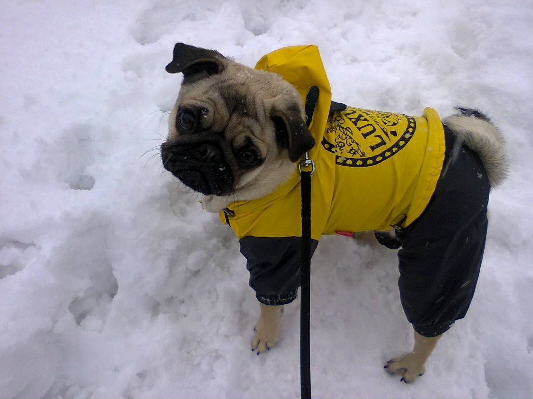 Анастасия Гагарина | Казань