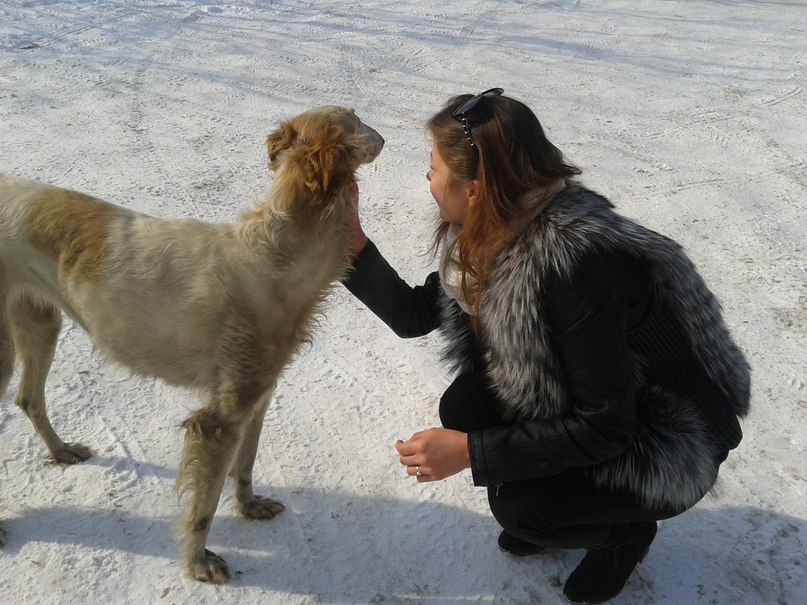 Полинка Гриненко 