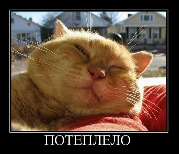 №141, Сергей Ларионов, 33 года, Прокопьевск №141, Сергей Ларионов, 33 года, Прокопьевск