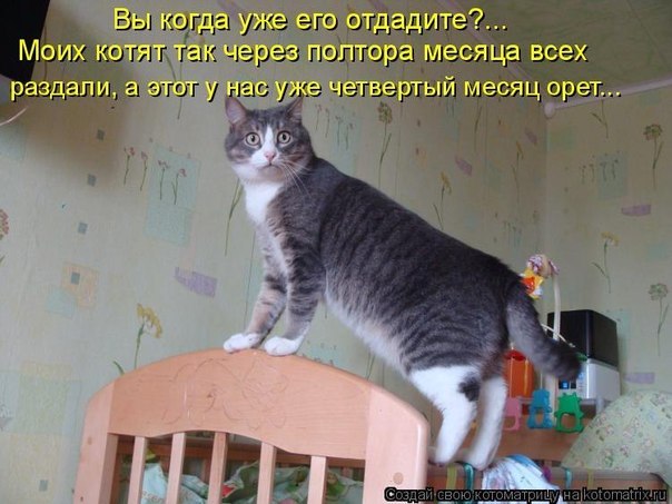 Виталий Остапенко | Киев