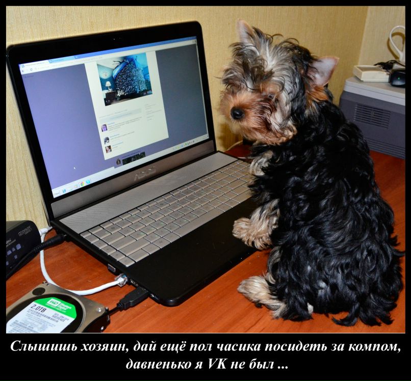 Виталий Вешкин iostream | Макеевка