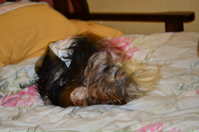 Виталий Вешкин iostream | Макеевка