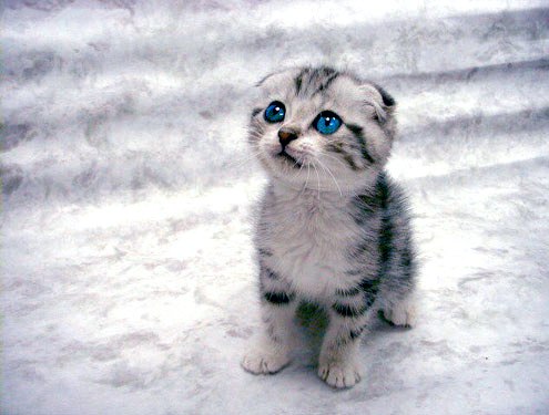 Алексей Александров | Можайск