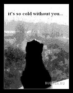 Ashot Dzhevilikyan | Санкт-Петербург