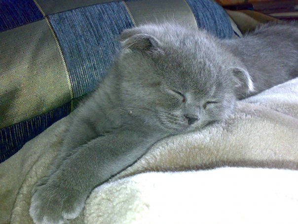 Алиночка Алина ✿ܓ✿ܓ✿ܓ | 