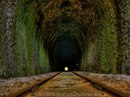 Фотография Зубача Александра