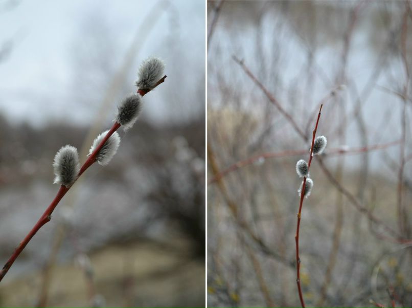 Дарья Мокшанцева | Москва