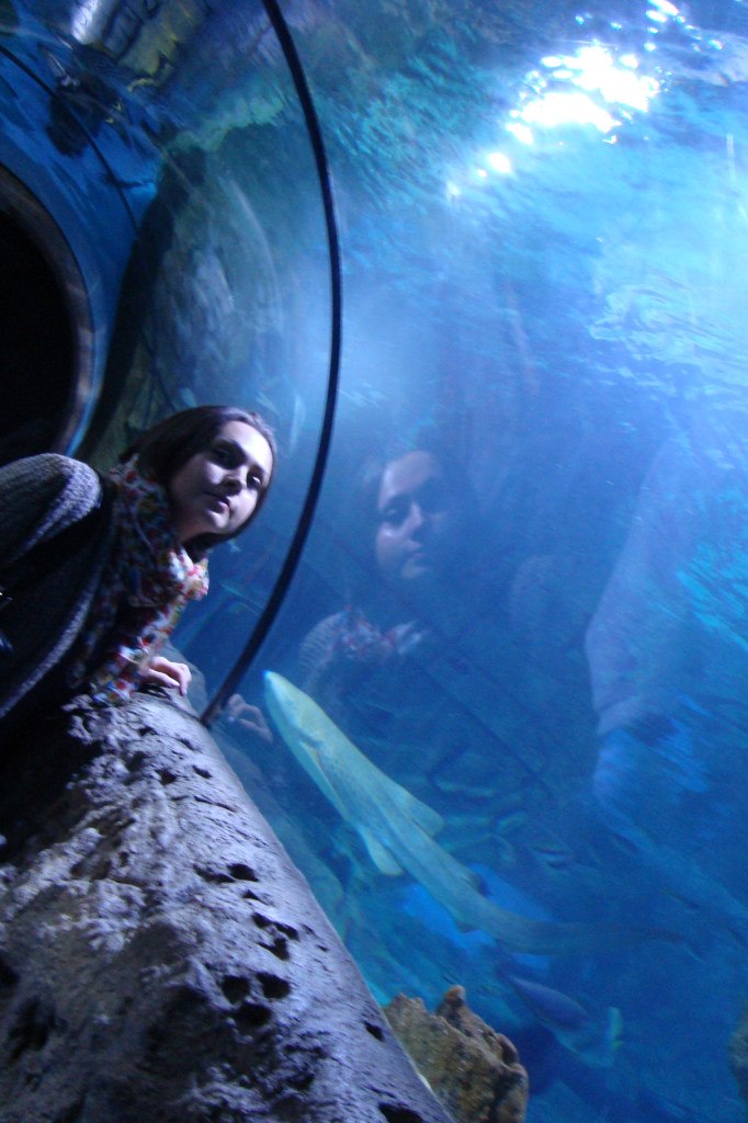 Светлана Яровая-Лукьяненкова | Ростов-на-Дону