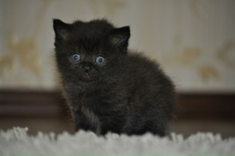 Наталья Гарбар | Запорожье