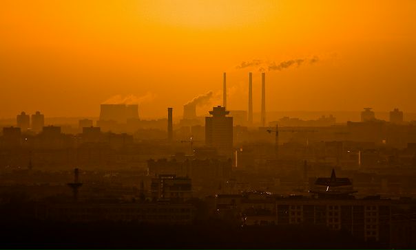 №52, Ден Cherry, 41 год, Минск, Беларусь №52, Ден Cherry, 41 год, Минск, Беларусь