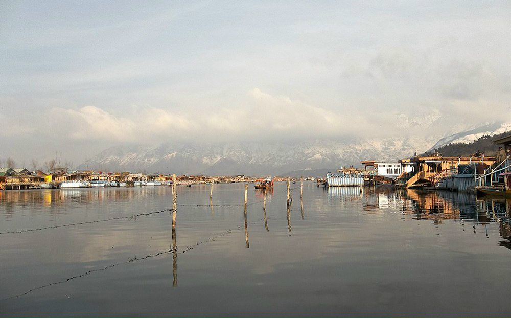 Максим Бугера | Киев