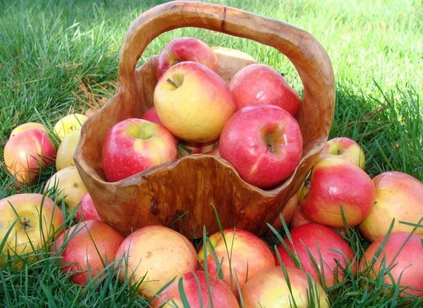 №5, Евгений Алекминский, Петропавловск-Камчатский №5, Евгений Алекминский, Петропавловск-Камчатский