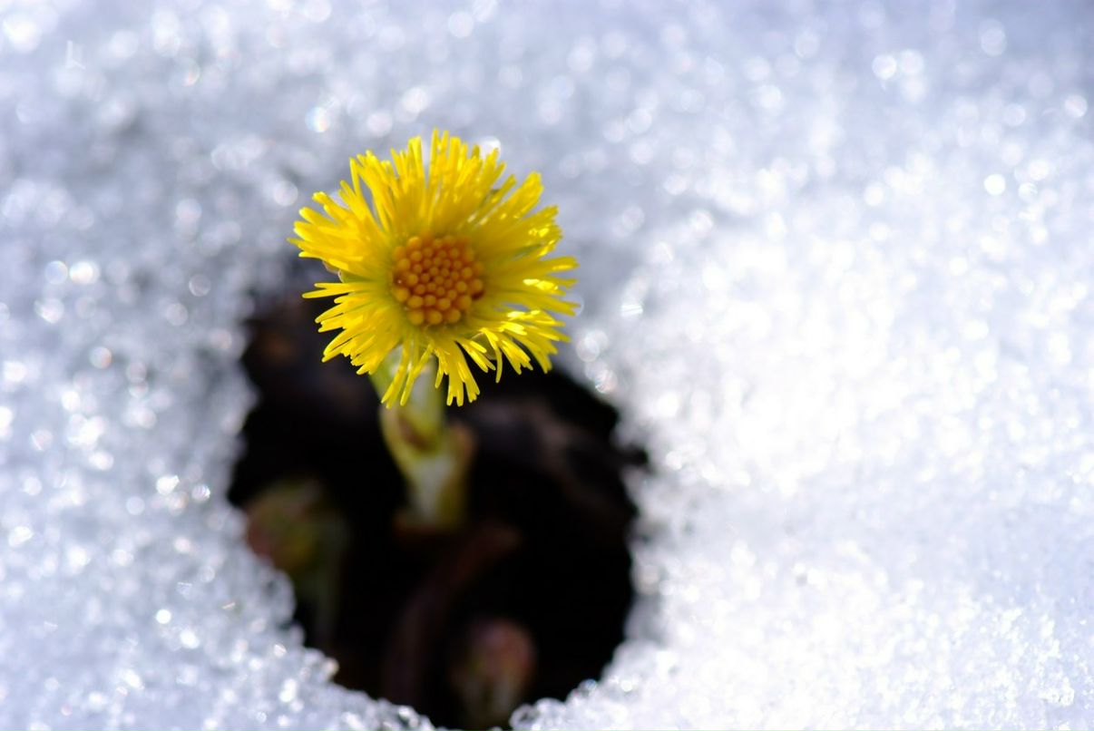Екатерина Козлова | Москва