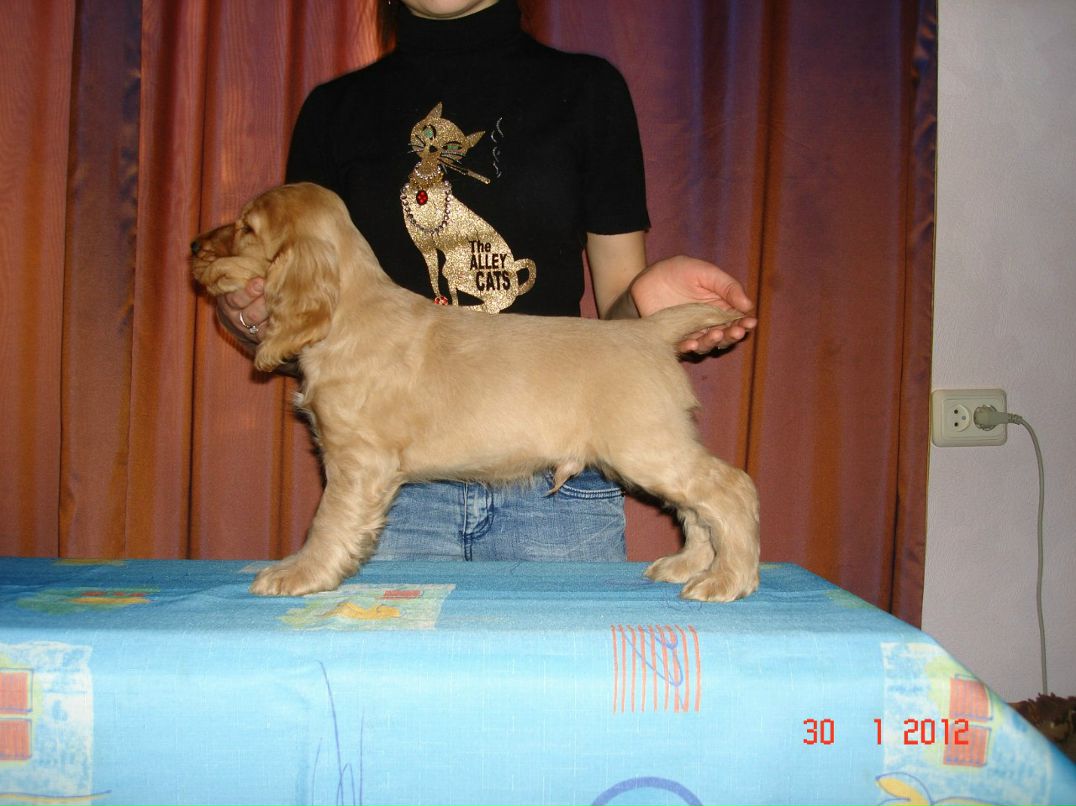 Татьяна Баранова | Киев