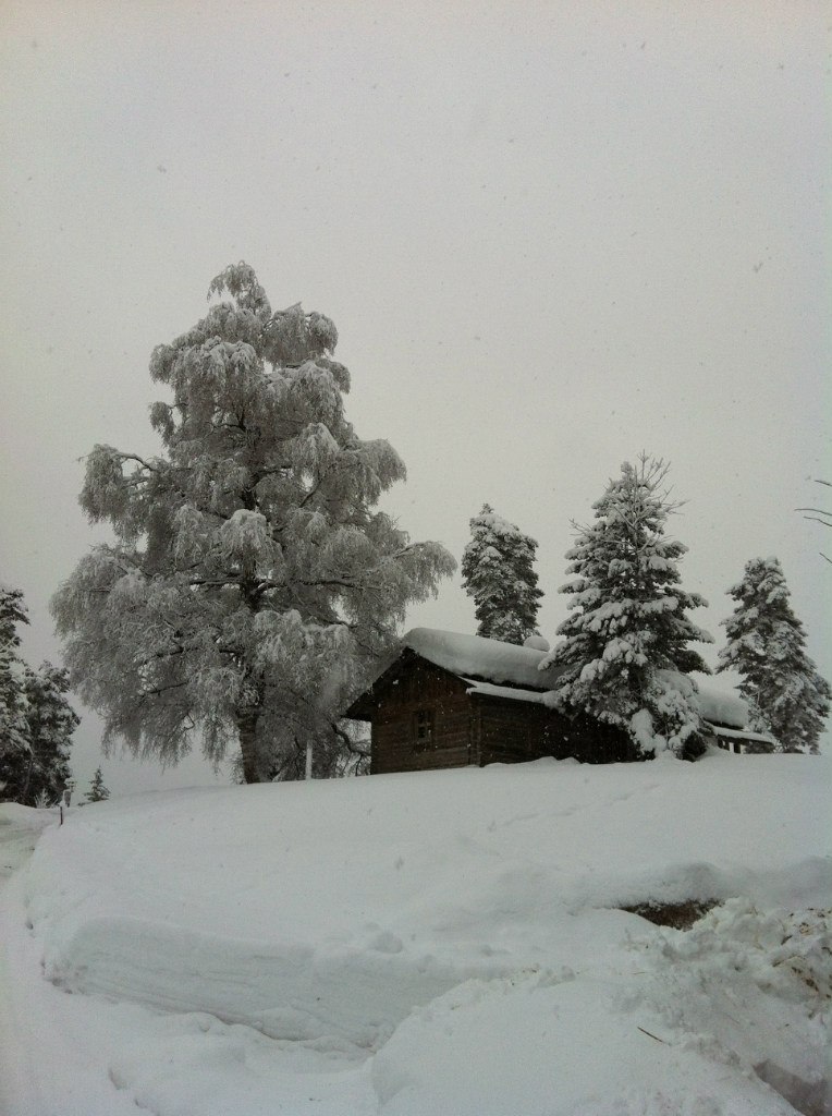 Александр Стерлин | Москва