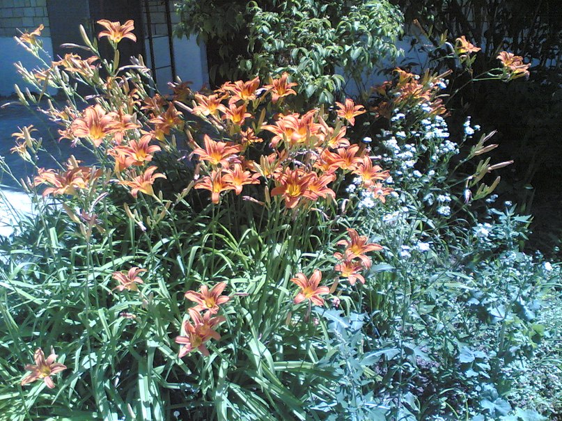 Виталий Сохацький | Новоднестровск