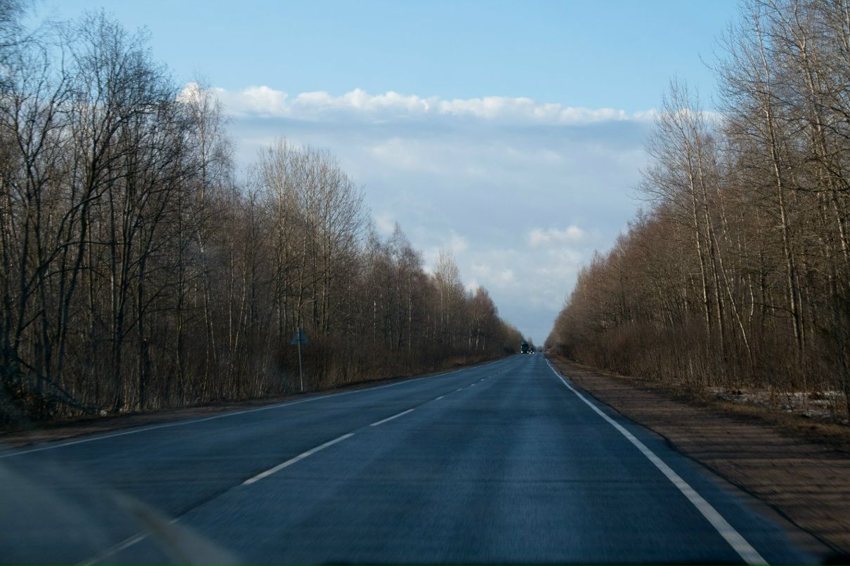 Veronika Bogomolova | Санкт-Петербург