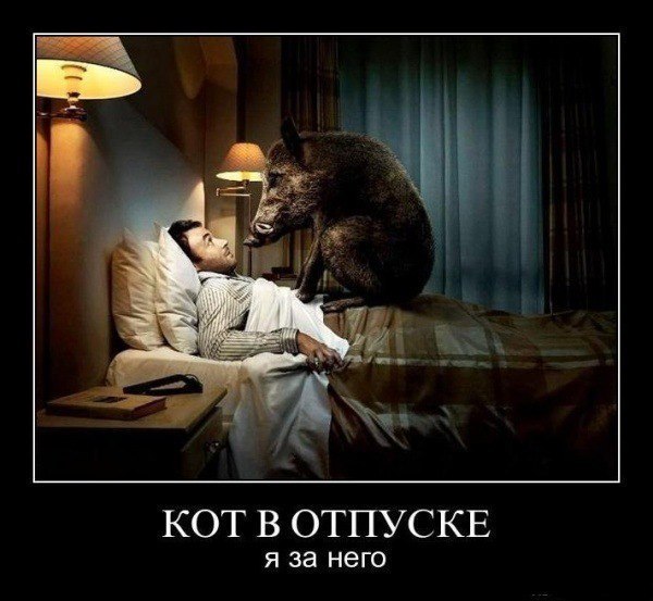 Анна Яковлева | Санкт-Петербург