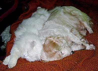 Сергей Иванов | Краснодар