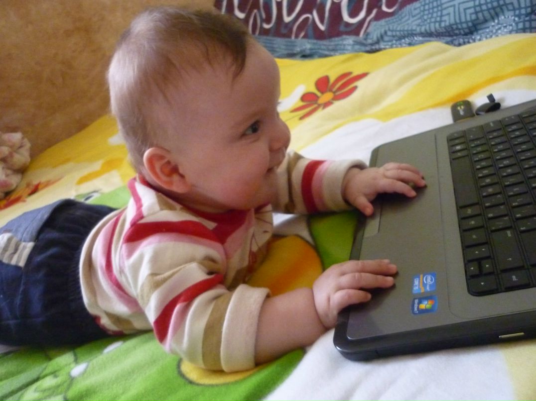 Елена Литвинова | 