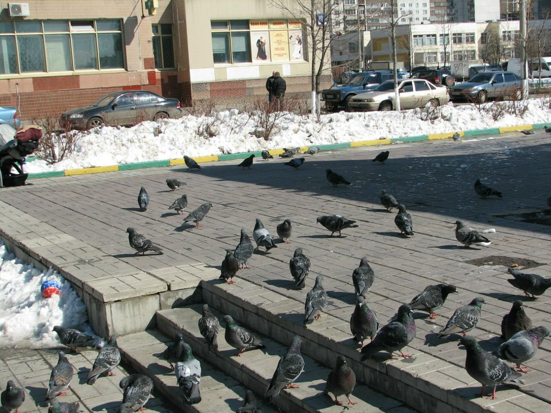 Виктория Бобрышева | Москва