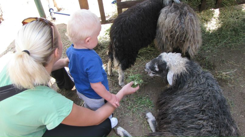 Lera Lebedeva | Киев