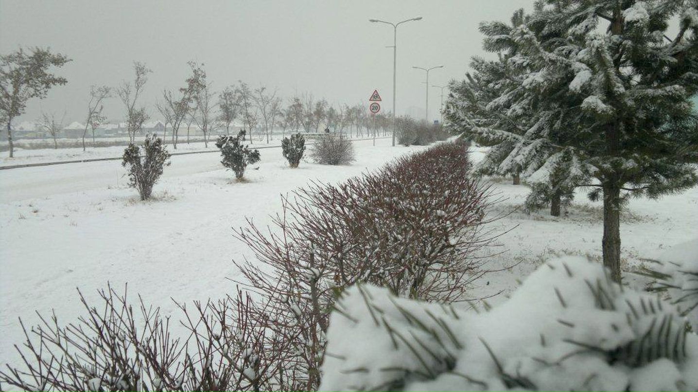 Сергей Журавлёв | 