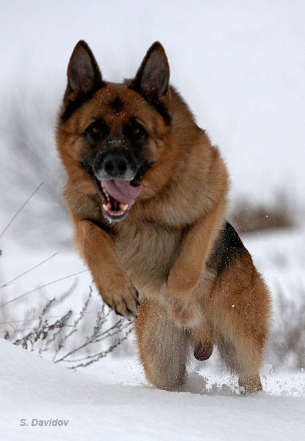 Олег Володимирович ˙·٠•●๑۩хХх۩๑●•٠·˙ | Богуслав