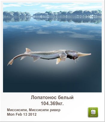 Алина Чистова | Елгава