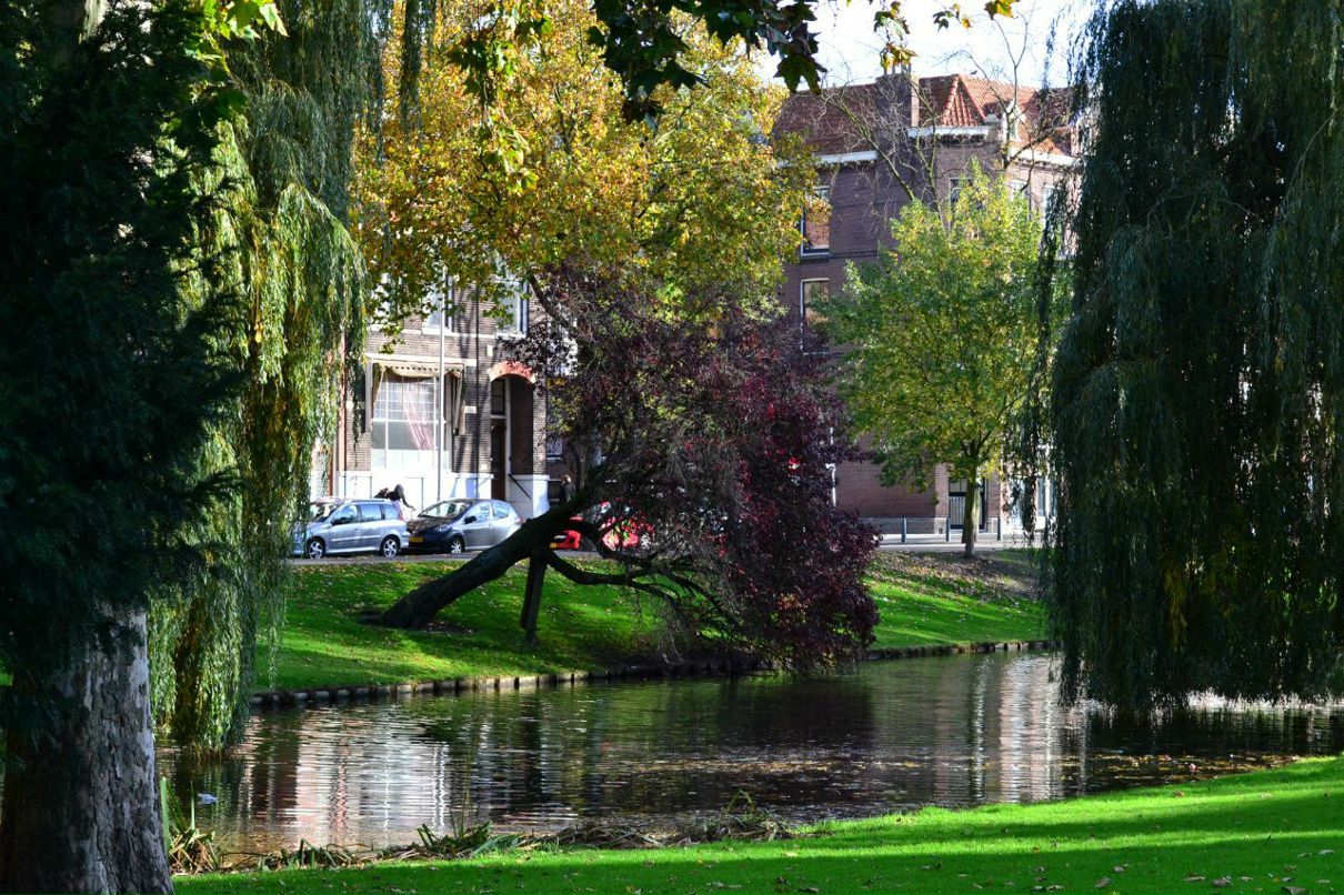 Ксения Виват | Москва