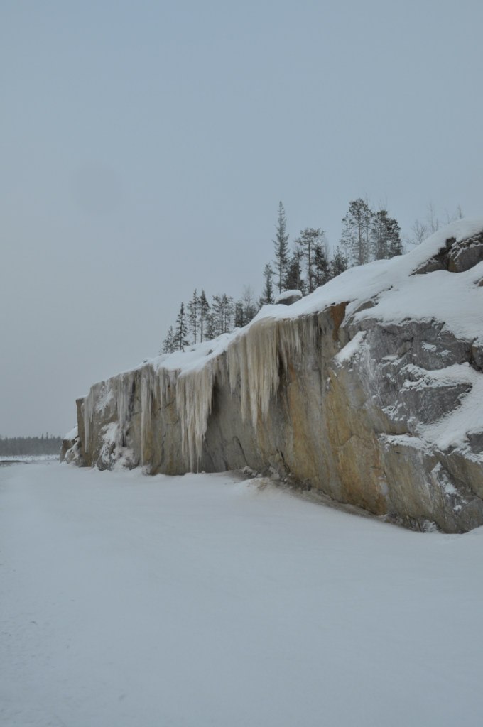 Ли Цын Си | Брянск